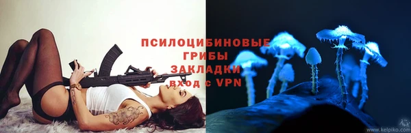 твердый Алексин