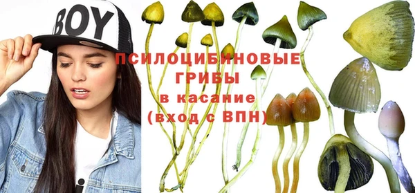 твердый Алексин