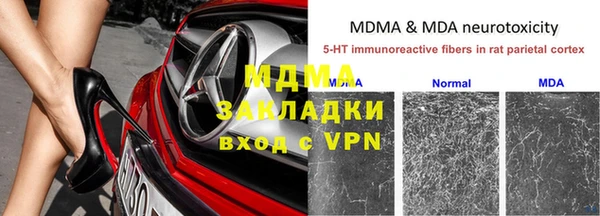 прущие грибы Алексеевка