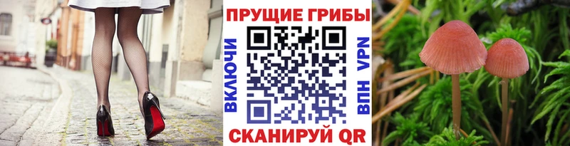 Галлюциногенные грибы MAGIC MUSHROOMS Дудинка