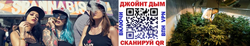 Каннабис план  Дудинка 